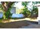 Expansive backyard with lush greenery and privacy fence at 3905 W Carmen St, Tampa, FL 33609
