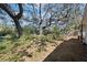 Large backyard with grass and mulch and many shade trees at 6327 Emerson S Ave, St Petersburg, FL 33707