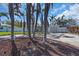 Single-story home with a wide driveway, white fence, and lush palm trees in the front yard at 7942 Causeway N Blvd, St Petersburg, FL 33707