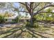 Exterior front view of a ranch style home with mature landscaping and long driveway at 1433 Park N St, St Petersburg, FL 33710