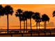 Scenic sunset view with silhouetted palm trees along the Dunedin Causeway at 1521 San Helen Dr, Dunedin, FL 34698