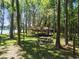 Outdoor picnic area with covered pavilion and tables nestled among mature trees with lake views at 18846 Tracer Dr, Lutz, FL 33549