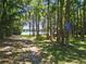 Scenic path leading to the water's edge, providing serene water views and a tranquil escape at 18846 Tracer Dr, Lutz, FL 33549
