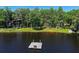 Lakefront view of dock and grassy shoreline with mature trees at 18846 Tracer Dr, Lutz, FL 33549