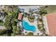 Overhead view of the community pool, hot tub, and lounge areas surrounded by palm trees at 254 Seagate Ct, Dunedin, FL 34698