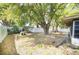 Large backyard featuring mature trees, providing ample shade and privacy at 3219 Spanish Moss Ln, Palm Harbor, FL 34684