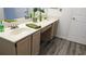 Bathroom features a double sink vanity and wood-look flooring at 2105 Haydon Ct, Brandon, FL 33511
