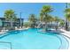 Community pool area featuring a zero entry and many palm trees at 15401 Caravan Ave, Odessa, FL 33556