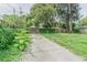 A spacious driveway and backyard with mature trees and lush greenery at 1807 23Rd N Ave, St Petersburg, FL 33713