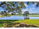 Expansive waterfront view of the pond, foliage, and island at 2199 Springrain Dr, Clearwater, FL 33763