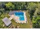 Aerial view of a sparkling blue community pool surrounded by lounge chairs and lush greenery at 2572 Forest Run Ct, Clearwater, FL 33761