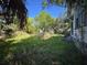 Overgrown backyard with lush greenery and a glimpse of the house, needing landscape maintenance at 3106 E 25Th Ave, Tampa, FL 33605