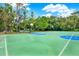Outdoor basketball court featuring green surface with blue accents, surrounded by trees at 31833 Turkeyhill Dr, Wesley Chapel, FL 33543