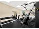 Well-equipped gym featuring weight machines, treadmill, elliptical, and dumbbell rack at 31833 Turkeyhill Dr, Wesley Chapel, FL 33543