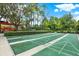 Outdoor shuffleboard courts with lush green surroundings on a sunny day at 31833 Turkeyhill Dr, Wesley Chapel, FL 33543