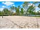 Beach volleyball court with net and surrounding trees under a blue sky at 31833 Turkeyhill Dr, Wesley Chapel, FL 33543