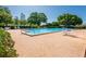 Community pool with plenty of lounge chairs and patio area for residents to enjoy a day in the sun at 3346 Gorse Ct, Palm Harbor, FL 34684