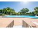 Large community swimming pool surrounded by lounge chairs and lush greenery at 3346 Gorse Ct, Palm Harbor, FL 34684