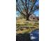 Expansive backyard with a mature oak tree, providing ample shade and character at 4594 Mohican Trl # 143, Sarasota, FL 34233