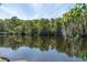 Picturesque view of a calm pond surrounded by lush trees and Spanish moss, offering a tranquil natural setting at 4965 Anniston Cir, Tampa, FL 33647