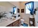 Bathroom with single sink vanity, blue accents, toilet, and large mirror at 10220 Deercliff Dr, Tampa, FL 33647