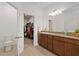 Well-lit bathroom with double vanity and walk-in closet at 1050 Davis Heather Cir, Seffner, FL 33584
