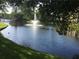 Picturesque water view featuring a fountain and mature trees at 14130 Rosemary Ln # 1201, Largo, FL 33774