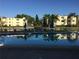 Large in-ground pool offering a tranquil view of the complex, palm trees, and seating at 14130 Rosemary Ln # 1201, Largo, FL 33774