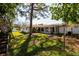 View of the home's backyard featuring a large tree, enclosed porch, and a well-maintained lawn area at 1591 N Dakota Ne Ave, St Petersburg, FL 33703