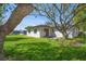 Exterior view showcasing the backyard, featuring a lush lawn and mature tree at 1651 Summit Way, Dunedin, FL 34698