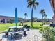 Inviting backyard with a picnic table, palm trees, and clear blue skies at 19029 Us Highway 19 N # 27A, Clearwater, FL 33764