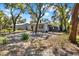 Backyard featuring mature trees, offering shade and natural charm for a peaceful outdoor setting at 1908 E Mcberry St, Tampa, FL 33610