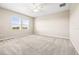 Spacious bedroom with neutral carpet, ceiling fan, and natural light through large windows at 34024 White Fountain Ct, Wesley Chapel, FL 33545