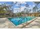 Beautiful community pool with plenty of lounge chairs surrounded by trees and a clear blue sky at 440 Woods Landing Trl, Oldsmar, FL 34677