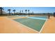 Well-maintained community pickleball court perfect for recreational play and social gatherings at 11218 Sage Canyon Dr, Riverview, FL 33578