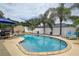 Inviting backyard pool surrounded by palm trees and a well-maintained fence, perfect for relaxation at 12299 91St N Ave, Seminole, FL 33772