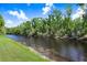 Picturesque water view with lush greenery along the banks, showcasing the natural beauty at 16843 Harrierridge Pl, Lithia, FL 33547