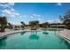 Resort-style pool with palm trees, comfortable lounge chairs, and clear blue skies at 16960 Falling Waters Ct, Land O Lakes, FL 34638