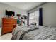 Functional bedroom has dresser, bed, a cat tree and window with blind for privacy at 17965 Villa Creek Dr, Tampa, FL 33647