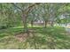 Home exterior, showing a very large, well manicured backyard with mature trees at 3217 Partridge Point Trl, Valrico, FL 33596