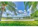 Scenic view of a tranquil lake framed by palm trees and lush greenery under a bright, cloudy sky at 3217 Partridge Point Trl, Valrico, FL 33596