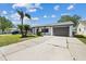 Inviting one-story home with a well-maintained lawn, mature palm trees, and a spacious driveway at 3553 Delta Pl, Holiday, FL 34691