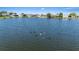 Picturesque water view showcasing the tranquil lake with several birds swimming in the foreground at 3553 Delta Pl, Holiday, FL 34691