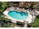 Overhead shot of unique kidney-shaped community pool with lounge chairs at 5704 Bratton Dr # 2, Tampa, FL 33617