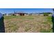 Large, open backyard providing ample space for recreation and potential landscaping projects at 733 Garden Oaks Sq, Seffner, FL 33584