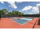 Well-maintained pickleball courts with vibrant colors, surrounded by a secure fence and lush greenery at 7472 Clearmeadow Dr, Spring Hill, FL 34606