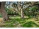 Grassy backyard with mature shade trees, lush greenery and fenced perimeter at 1908 Bayshore Ct, Safety Harbor, FL 34695