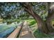 Peaceful wooden walkway next to a pond, framed by a large tree, creating a serene and inviting atmosphere at 1908 Bayshore Ct, Safety Harbor, FL 34695