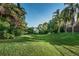 Expansive green lawn stretching towards a charming home, surrounded by tall palms and verdant tropical foliage at 1908 Bayshore Ct, Safety Harbor, FL 34695