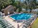 Aerial community pool view on a sunny day includes lounge chairs, bath house, and pond at 1908 Bayshore Ct, Safety Harbor, FL 34695
